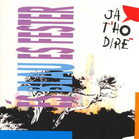 Ja t'ho diré